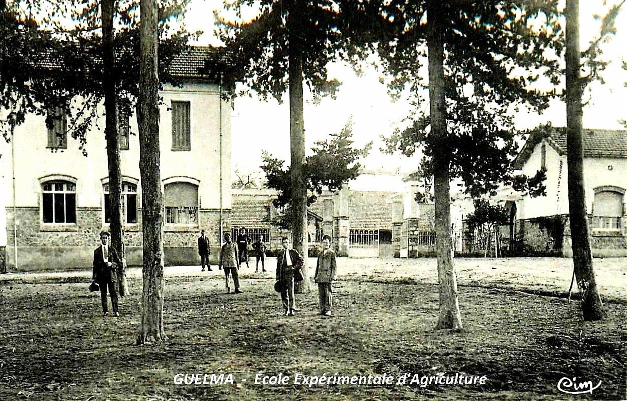 Guelma - Ecole Experimentale d'Agriculture.jpg